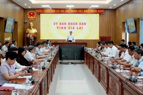Gia Lai đẩy mạnh phát triển lực lượng doanh nghiệp tiên phong