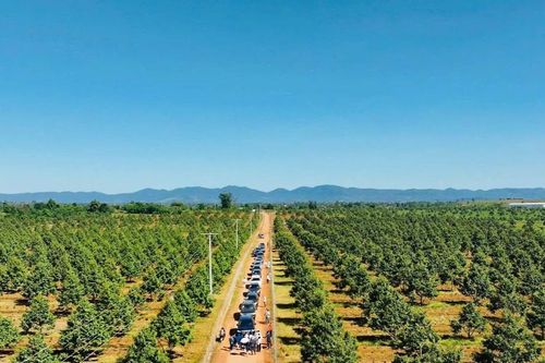 'Con cưng' của HAGL sắp IPO: Báo cáo tài chính đẹp như mơ, vì sao vào tầm ngắm của Cục Thuế?