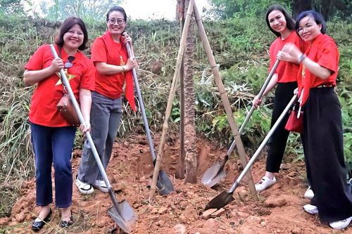 Dự án 'Hoa Gạo thắp sáng Đền Hùng' kết nối 54 dân tộc
