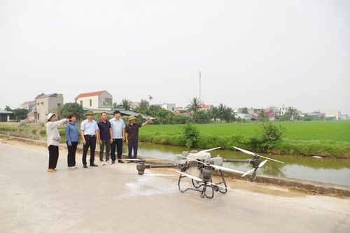 Hiệu quả vượt trội từ những 'cánh đồng không dấu chân'