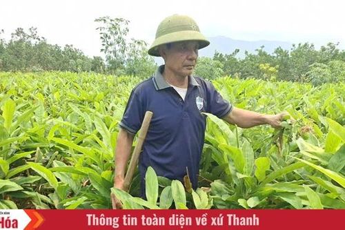 Hồi sinh vùng đất khó
