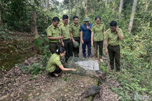 Đa dạng sinh học trước sức ép phát triển