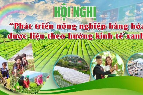 Hội nghị 'Phát triển nông nghiệp hàng hóa, dược liệu theo hướng kinh tế xanh'