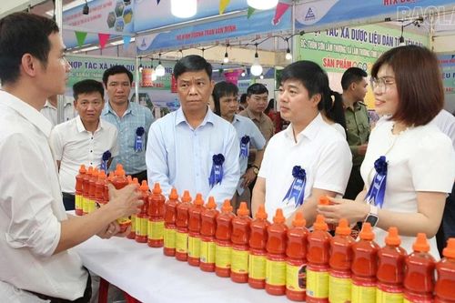 Nông sản OCOP Lào Cai - từ tuần lễ xúc tiến đến xây dựng thị trường phát triển bền vững