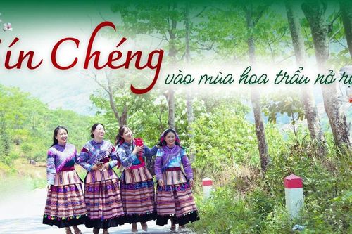 Sín Chéng mùa hoa trẩu nở rộ
