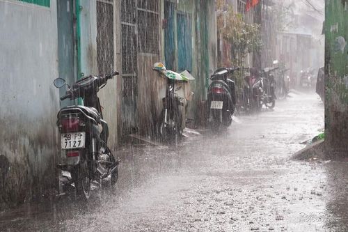 Bắc Bộ và Thanh Hóa: cảnh báo mưa to