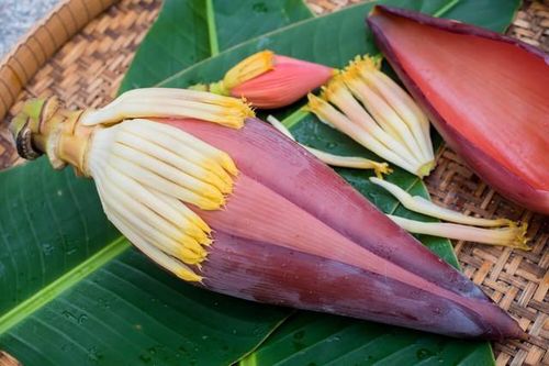 5 món ăn bài thuốc từ hoa chuối