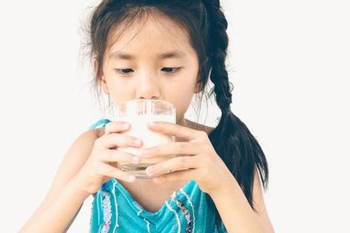 Nhận diện các loại sữa và cách lựa chọn phù hợp cho từng thể trạng