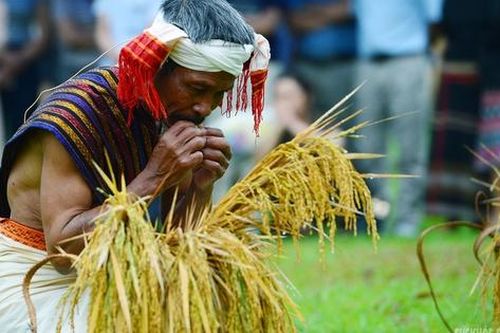 [Ảnh] Người Chu Ru mang mùa vàng từ đại ngàn về Thủ đô