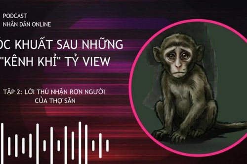 [Podcast] Trại tù binh khỉ: Lời thú nhận rợn người của thợ săn