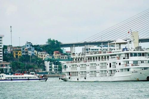 Chính thức đưa tuyến kết nối Vịnh Hạ Long-Vịnh Lan Hạ vào hoạt động