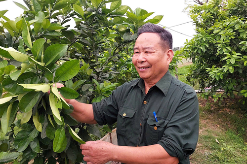 Vượt khó vươn lên, lan tỏa nghĩa tình