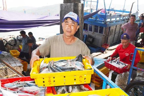 Ngư dân bắt nhịp với công nghệ số