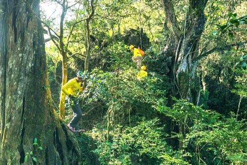 Quần thể hang động triệu năm vừa thức giấc ở Quảng Trị