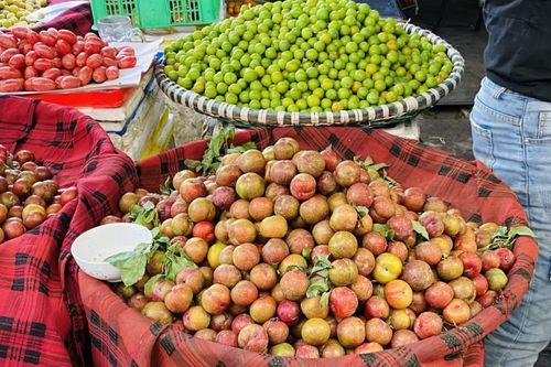 Mận Sơn La đầu mùa 'đội giá', người mua vẫn xuống tiền
