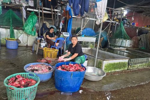Hà Nội: Chợ cá Yên Sở trước ngày giải tỏa