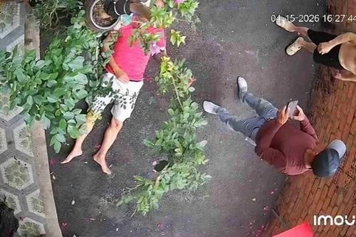 Người đàn ông bị hàng xóm đánh bất tỉnh vì chậu cây