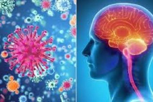Khống chế thành công ổ dịch viêm não mô cầu ở Cà Mau