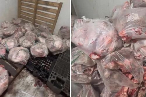 Chặn hơn 500kg thịt bốc mùi chuẩn bị tuồn ra thị trường