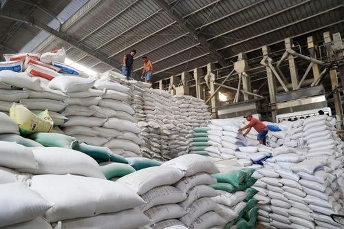 Bị sa thải vì giám định lô gạo gây thiệt hại tiền tỷ, người lao động thua kiện