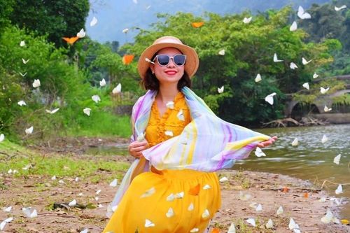 Du khách đổ xô vào rừng 'săn bướm', check-in cùng cây ráy 'khổng lồ' ở Ninh Bình