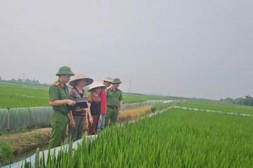 Thêm 1 vụ chết người ở Hải Phòng do giăng điện bẫy chuột