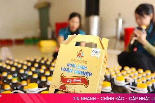 Sắp diễn ra 'Tuần lễ sản phẩm Hà Tĩnh tại Thủ đô'