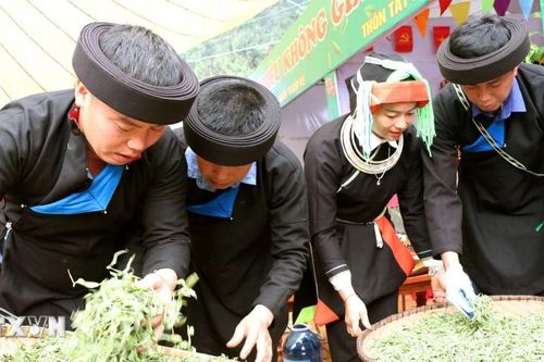 Tuyên Quang: Giữ lửa Shan tuyết, mở đường du lịch Cao Bồ