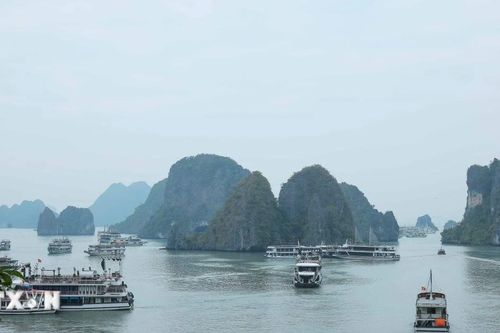 Tàu chạy tuyến vịnh Hạ Long-Lan Hạ chính thức đi vào hoạt động