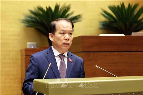 Từng bước hình thành đội ngũ luật sư công chuyên nghiệp