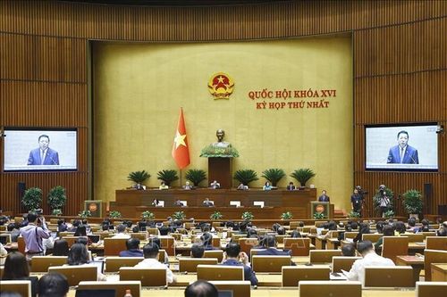 Cử tri Khánh Hòa: Quốc hội khóa XVI cần tạo sự đột phá về thể chế, chính sách