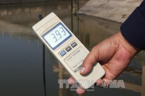 Xâm nhập mặn dao động ở mức cao trong những ngày đầu tuần