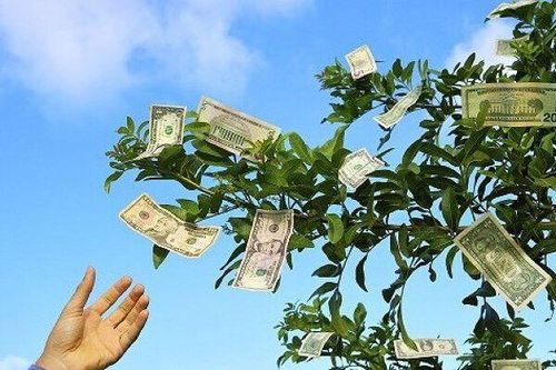 Không chia cổ tức trong 2026, lãnh đạo VPBankS nói gì về kế hoạch cổ tức trong tương lai?