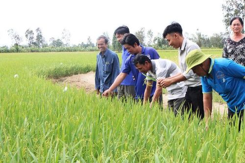 Nhơn Mỹ định hình hướng phát triển mới