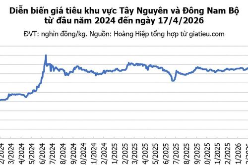 Giá tiêu hôm nay 17/4/2026: Giá trong nước đi ngang, tiêu Brazil giảm mạnh 150 USD