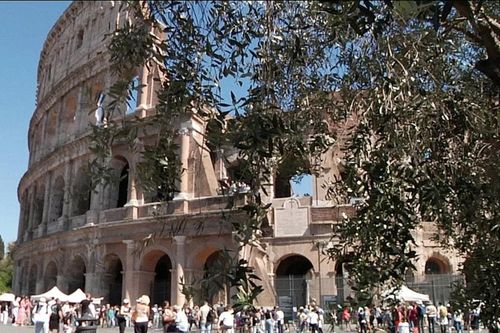 Du lịch mùa ô liu tại Rome