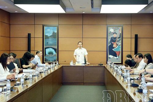 ĐBQH tỉnh tham gia dự thảo Nghị quyết về phát triển văn hóa Việt Nam