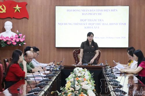 Ban Pháp chế thẩm tra nội dung trình HĐND tỉnh