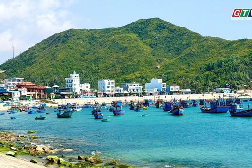 Mùa rêu xanh Nhơn Hải