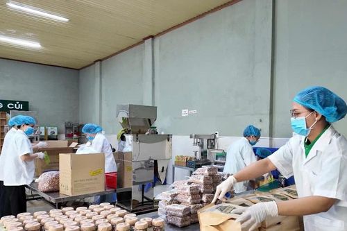 Nâng cao chất lượng sản phẩm OCOP: Khi doanh nghiệp tăng tốc đổi mới công nghệ