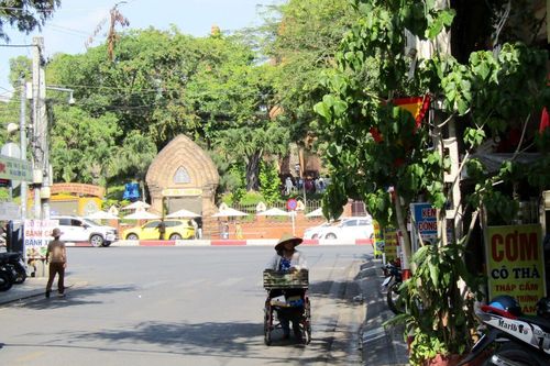 Biển báo giao thông bị cây xanh che khuất