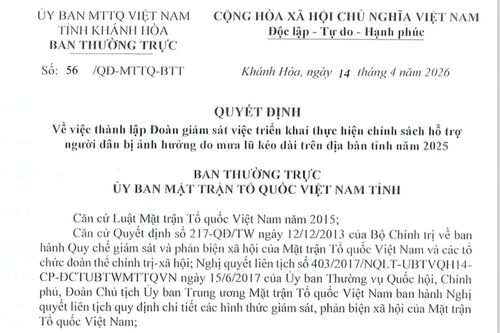 Giám sát việc thực hiện chính sách hỗ trợ người dân bị ảnh hưởng mưa lũ năm 2025