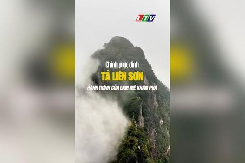 Chinh phục đỉnh Tả Liên Sơn – Hành trình của đam mê khám phá