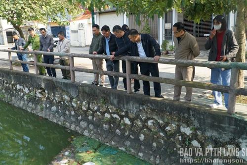Trả lại màu xanh cho hồ Phai Loạn
