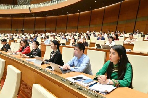 Đại biểu Quốc hội tỉnh tham gia thảo luận tổ về một số cơ chế, chính sách đặc thù