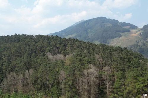 Siết chặt 'kỷ cương thép', giữ màu xanh trước sức nóng gió Lào