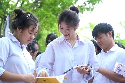 Sôi nổi Ngày hội sách và văn hóa đọc trong hệ thống thư viện và nhà văn hóa trên địa bàn tỉnh