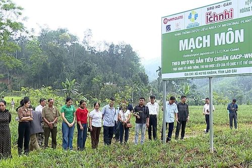 Trên 30 hội viên nông dân được tập huấn nâng cao kiến thức sản xuất