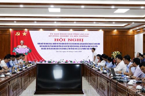 Thống nhất nội dung triển khai dự án đo đạc, lập bản đồ địa chính tại 27 xã, phường thuộc tỉnh Lào Cai
