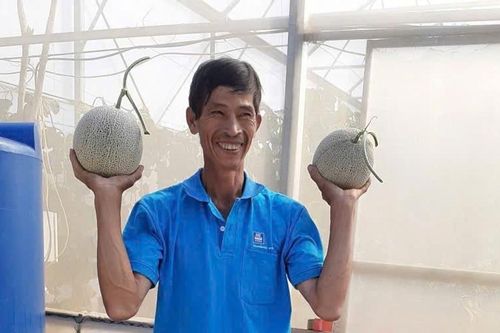Bí thư Chi bộ làm kinh tế giỏi